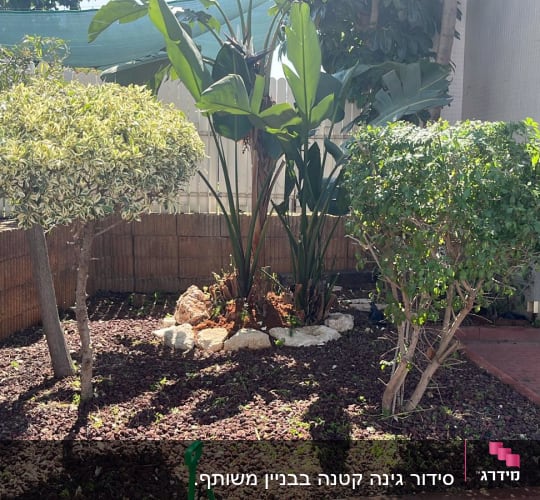 עצים ושיחים בגינה עם חיפוי קרקע מאבנים